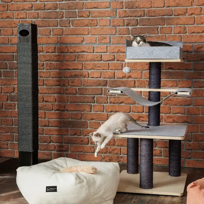Többszintes kaparófa, függőággyal és játékkal. Két macska használja, egyik leugrik. Elöl Modern Living textil macskaágy látható.