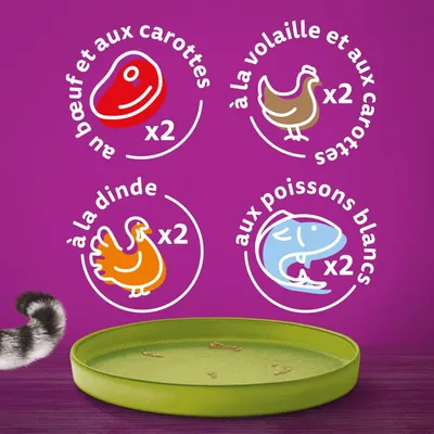 Variétés visibles : x2 au bœuf et aux carottes, x2 à la volaille et aux carottes, x2 à la dinde, x2 aux poissons blancs. Illustrations de chaque ingrédient.