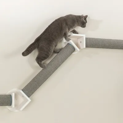 Graue Katze auf einer Wandmontage-Kratzbaumkonstruktion mit Sisal umwickelten Kratzstämmen und weissen Halterungen.