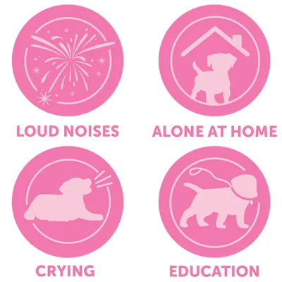 Četiri ružičaste ikone s engleskim tekstom: LOUD NOISES, ALONE AT HOME, CRYING, EDUCATION. Prikazane slike uključuju vatromet, psa u kući, psa koji laje i psa na povodcu.