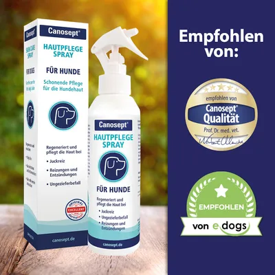 Canosept Hautpflege Spray für Hunde. Regeneriert und pflegt die Haut bei Juckreiz, Reizungen, Entzündungen und Ungezieferbefall. Empfohlen von Canosept Qualität und e-dogs.