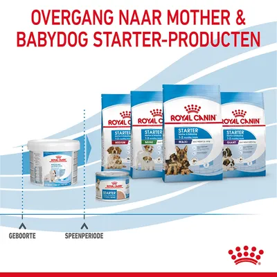 Overgang naar Royal Canin Mother & Babydog Starter-producten; verpakkingen voor Medium, Mini, Maxi, Giant zichtbaar. Tekst: geboorte, speenperiode.