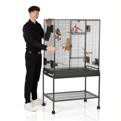 Grote metalen vogelkooi op wielen met meerdere zitstokken, voederbakken en kleurrijk speelgoed. Volwassene staat naast de kooi voor schaalverhouding.