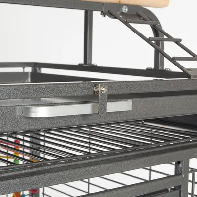 Détail d’une cage pour oiseaux en métal avec plateau amovible, perchoir en bois et échelle métallique visibles sur la partie supérieure.