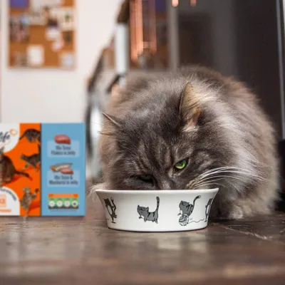 Cat eating from a bowl with illustrated cats, product packaging in background showing tuna flakes and mackerel in jelly as food options.