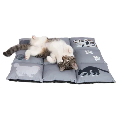 Graue Katzenmatte mit Tiermotiven, darauf liegende Katze. Matte zeigt Illustrationen von Katzen, Pfotenabdrücken und Wollknäuel.