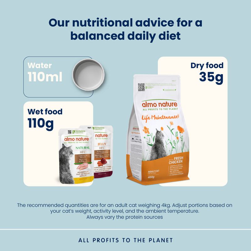 Almo Nature Holistic Maintenance Adult Chicken & Rice | Top deal!