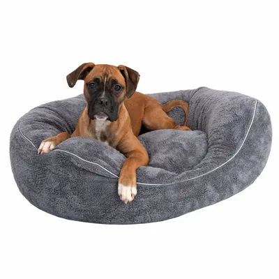 Modern Living Hundeseng Atlanta
