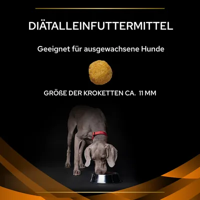 Texte en allemand : DIÄTALLEINFUTTERMITTEL, Geeignet für ausgewachsene Hunde, GRÖßE DER KROKETTEN CA. 11 MM ; croquette ronde et chien gris mangeant dans une gamelle métallique.