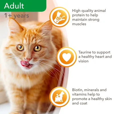 Adult 1+ years. High quality animal protein to help maintain strong muscles. Taurine to support a healthy heart and vision. Biotin, minerals and vitamins help to promote a healthy skin and coat.