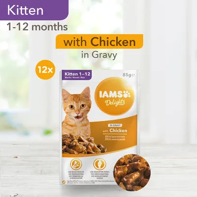 IAMS Delights Kitten 1–12 måneder, with Chicken in Gravy, 85 g. Pakke med 12 portioner. Synligt foderstykke og produktinformation på engelsk, tysk og fransk.