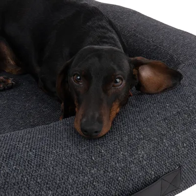 Black dog lying on a dark grey, textured pet bed with padded edge.