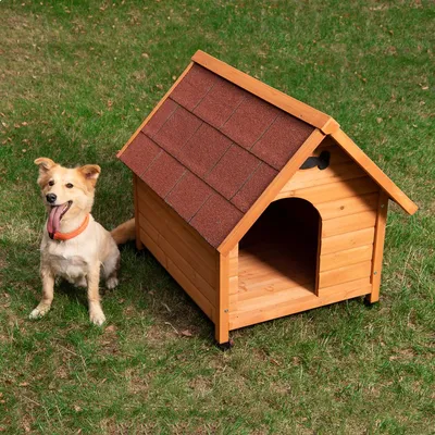 Hundkoja i trä med rött tak, placerad på gräsmatta. En mellanstor ljusbrun hund med orange halsband sitter bredvid kojan.