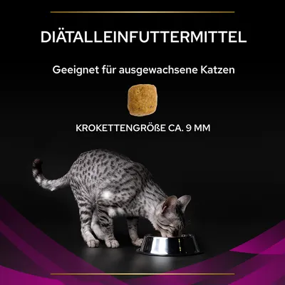Diätalleinfuttermittel, geeignet für ausgewachsene Katzen. Krokettengrösse ca. 9 mm. Katze frisst aus einem Napf.