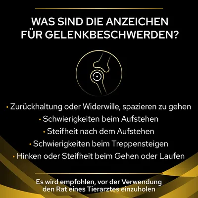 Anzeichen für Gelenkbeschwerden: Zurückhaltung beim Gehen, Schwierigkeiten beim Aufstehen, Steifheit nach dem Aufstehen, Probleme beim Treppensteigen, Hinken oder Steifheit beim Laufen.