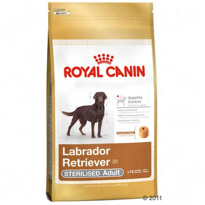 Royal Canin Labrador Retriever 30 Sterilised Adult hondenvoer, Appetite Control, voor volwassen gesteriliseerde Labradors ouder dan 15 maanden. Afbeelding van een bruine Labrador op de verpakking.