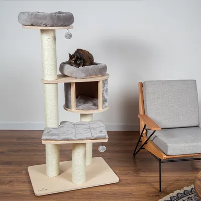 Katt på klösträd med flera liggplatser, sisalstolpar och grå plyschdynor. Klösträdet står bredvid en grå fåtölj på trägolv.