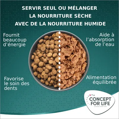 Concept for Life Large Senior pour chien
