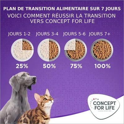Concept for Life X-Large Adult pour chien