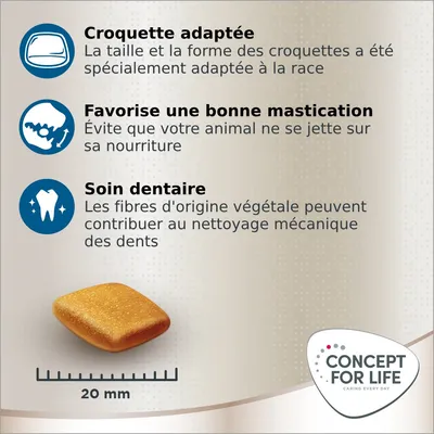 Croquette Concept for Life, 20 mm. Texte : croquette adaptée à la race, favorise une bonne mastication, soin dentaire grâce aux fibres végétales.