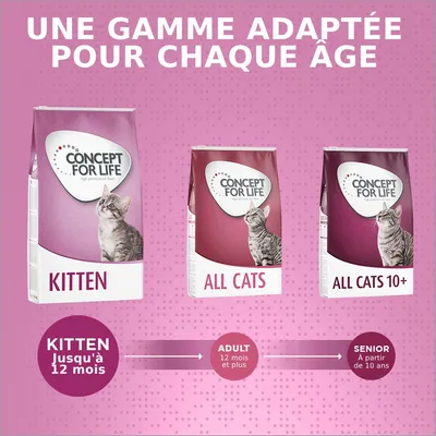 Concept for Life Kitten jusqu’à 12 mois, All Cats adulte 12 mois et plus, All Cats 10+ senior à partir de 10 ans. Une gamme adaptée pour chaque âge.
