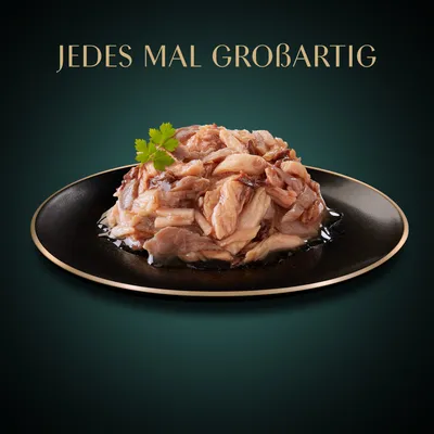 Sheba Filets 16 x 60 g