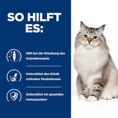 So hilft es: Erhaltung des Gelenkknorpels, Unterstützung schlanker Muskelmasse, Förderung eines gesunden Immunsystems. Katze rechts im Bild.