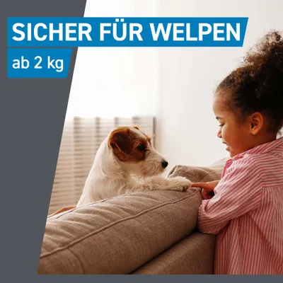 Frontline® Spot on Hund M