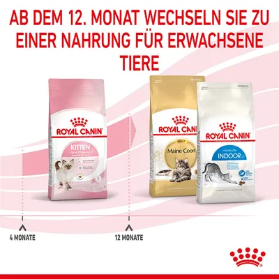 Trois sacs Royal Canin : Kitten jusqu’à 12 mois, Maine Coon Adult, Home Life Indoor 27. Texte en allemand : à partir de 12 mois, passer à une alimentation pour animaux adultes.