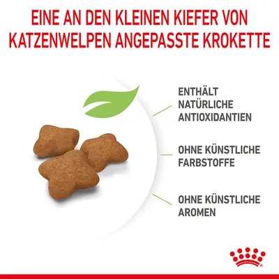 Kroketten für Katzenwelpen, angepasst an kleine Kiefer. Enthält natürliche Antioxidantien, ohne künstliche Farbstoffe und Aromen.