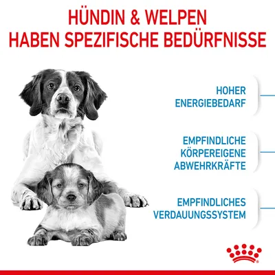 Texte en allemand : Hündin & Welpen haben spezifische Bedürfnisse. Hoher Energiebedarf, empfindliche körpereigene Abwehrkräfte, empfindliches Verdauungssystem.