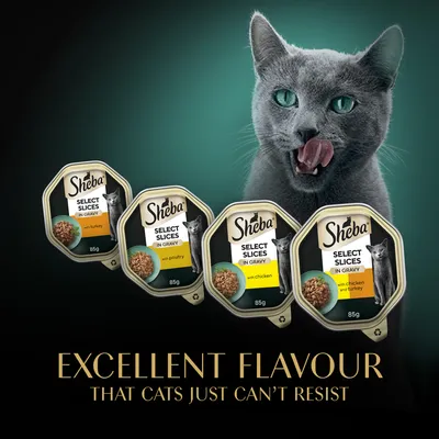 Sheba Select Slices in Gravy macskaeledel 85 g: pulyka, baromfi, csirke, csirke és pulyka ízek. Alul angol szöveg: EXCELLENT FLAVOUR THAT CATS JUST CAN’T RESIST.