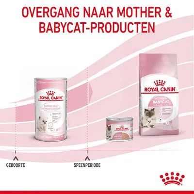 Royal Canin Babycat Milk