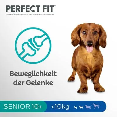 PERFECT FIT, Beweglichkeit der Gelenke, SENIOR 10+, minder dan 10 kg, afbeelding van kleine hond. Tekst deels in het Duits.