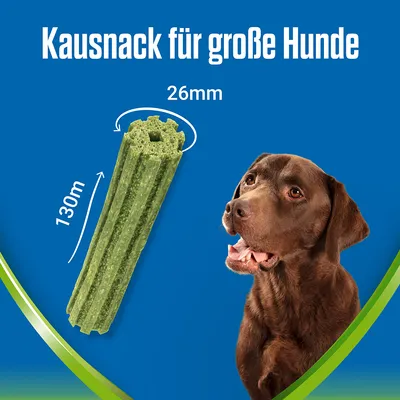 Kausnack für grosse Hunde, Länge 130mm, Durchmesser 26mm. Abgebildet: brauner Hund und grüner Kausnack.