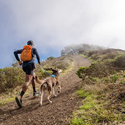Person with orange backpack and cap running uphill on a dirt path, holding a lead attached to a brown dog wearing a blue harness. Outdoor setting with grass and bushes visible.