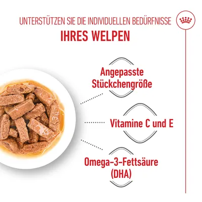 Royal Canin Maxi Puppy in Soße