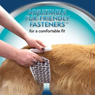Chiusure regolabili amichevoli per il pelo per una vestibilità comoda, mostrate su un cane con una mano che fissa il prodotto.