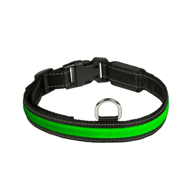 Schwarzes Halsband mit grünem reflektierendem Streifen, Kunststoffverschluss und Metallring.