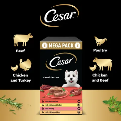 Cesar Classic Terrine Mixed Pack Cesar Classic Terrine Mixed Pack
