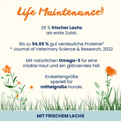 Almo Nature Life Maintenance Adult Lachs & Reis Medium Almo Nature Life Maintenance Adult Lachs & Reis Medium