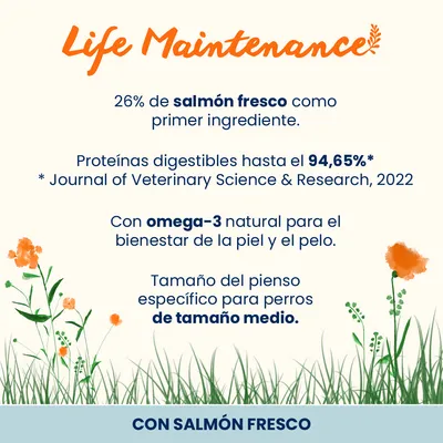 Almo Nature Life Maintenance Adult Medium salmón y arroz Almo Nature Life Maintenance Adult Medium salmón y arroz