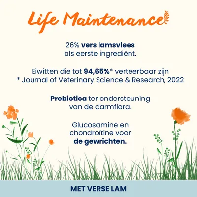Almo Nature Adult Lam & Rijst Large Hondenvoer