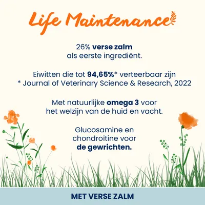 Almo Nature Adult Zalm & Rijst Large Hondenvoer Almo Nature Adult Zalm & Rijst Large Hondenvoer