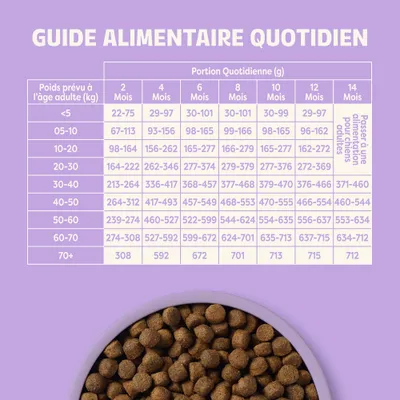 Tableau d’alimentation : portions quotidiennes recommandées en grammes selon le poids et l’âge de l’animal, de 2 à 14 mois. Indication concernant la transition vers la nourriture pour adulte. Tableau d’alimentation : portions quotidiennes recommandées en grammes selon le poids et l’âge de l’animal, de 2 à 14 mois. Indication concernant la transition vers la nourriture pour adulte.
