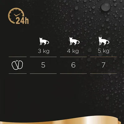 Рекомендации по кормлению: кошка 3 кг — 5 порций, 4 кг — 6 порций, 5 кг — 7 порций в сутки. Символ часов с надписью 24h.