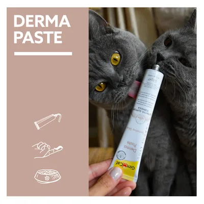 GimCat Derma paszta macskáknak, tubus kézi használattal és etetési szimbólumokkal. Két szürke macska közvetlenül a tubusból nyalja a pasztát.