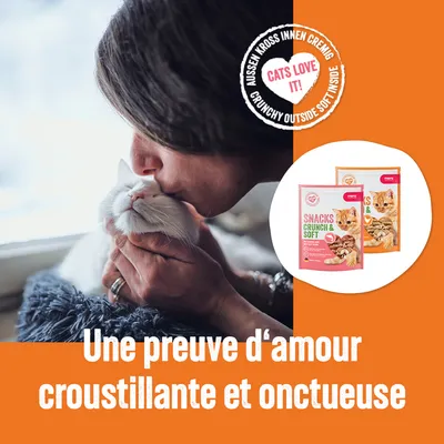 Snacks Crunch & Soft pour chats, deux sachets visibles avec un chat sur l'emballage. Texte : Une preuve d'amour croustillante et onctueuse. Badge anglais : Cats love it!