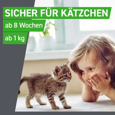Sicher für Kätzchen ab 8 Wochen und ab 1 kg.