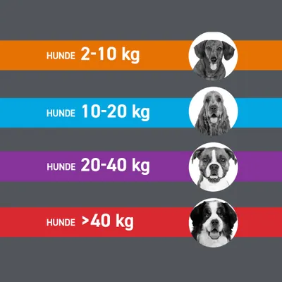 Frontline® Combo Spot-on Hund XL ( ab 40 kg)